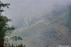 DSC08454