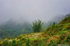 DSC08466