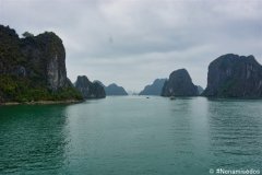 DSC08586