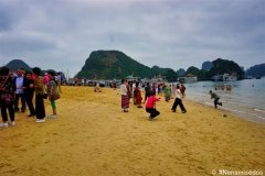DSC08621