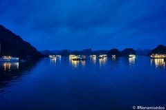DSC08703