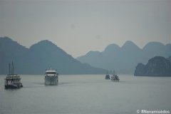 DSC08869