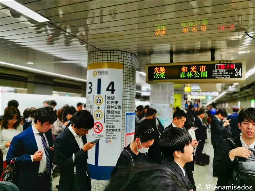 Read more about the article JAPONIJA. PASAULIO PAKRAŠTYS I DALIS