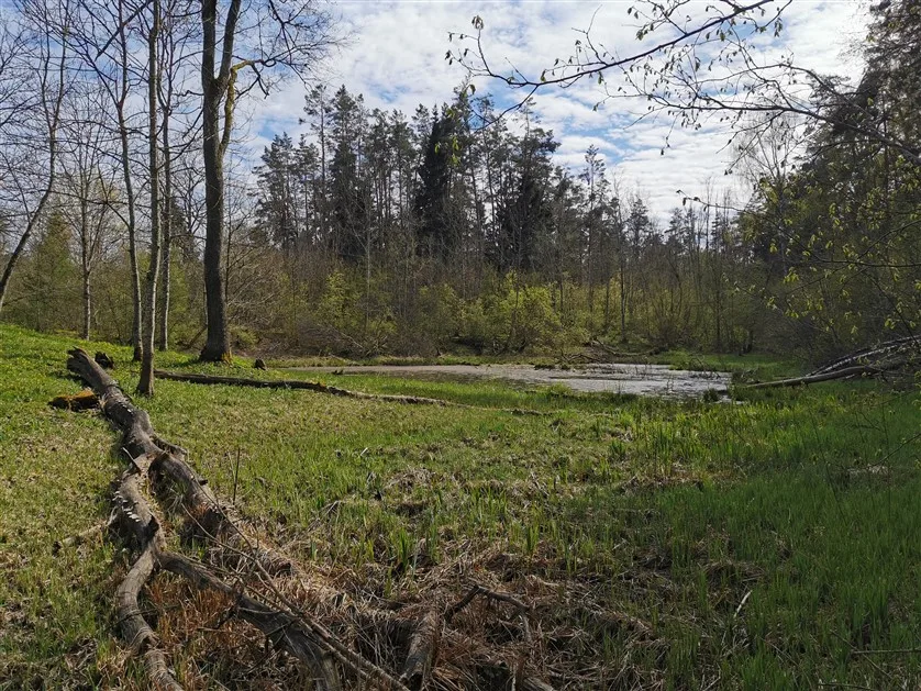 Kelionės dviračiu; Nenamisėdos; Anykščiai