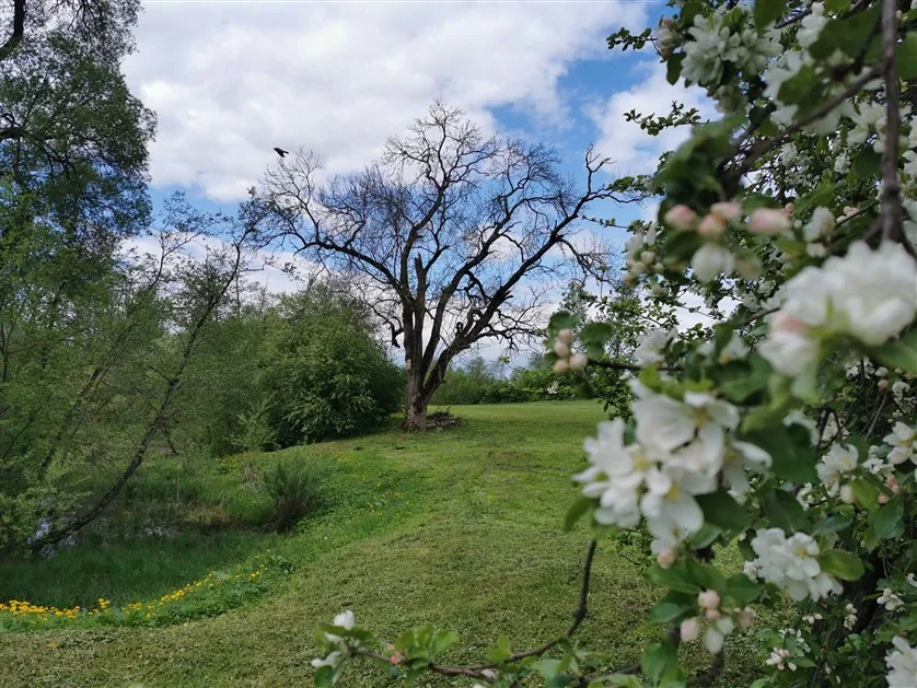 Kelionės dviračiu; Nenamisėdos; Anykščiai