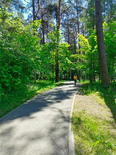 Birštonas; Kelionės dviračiu; Nenamisėdos
